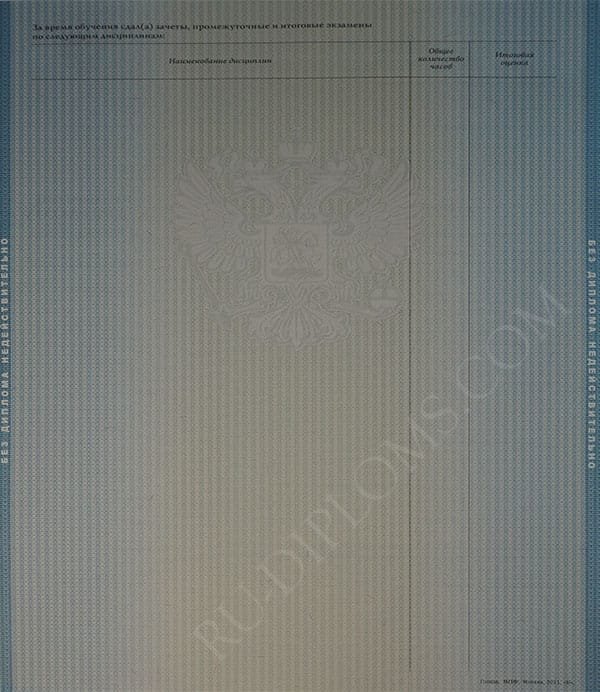 Диплом бакалавра 2010-2013 год  